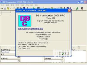 dbc2000汉化版+注册机绿色免费版